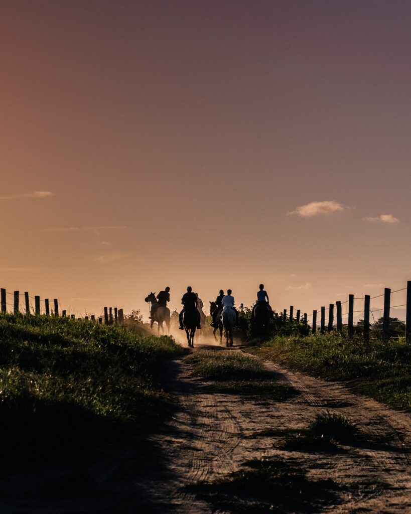 Reitergruppe im Sonnenuntergang